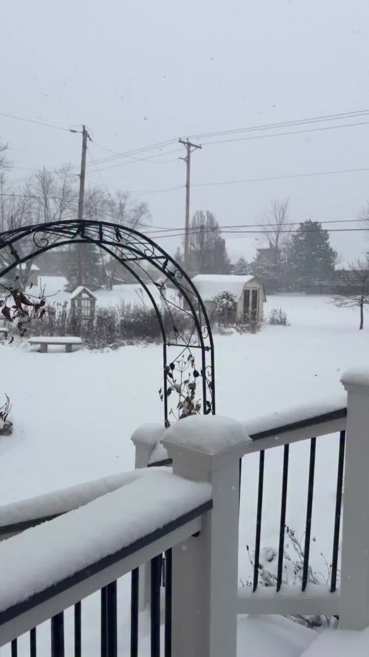 Video post from mylittlekatecod.