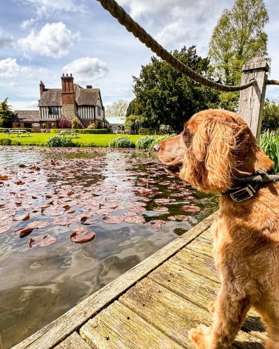 Photo post from themoathouse.