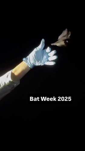 Video post from myodfw.