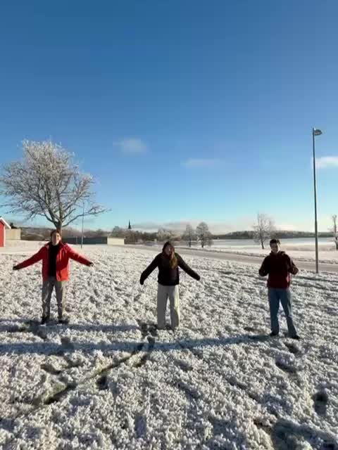 Carousel post from lindeskolan.