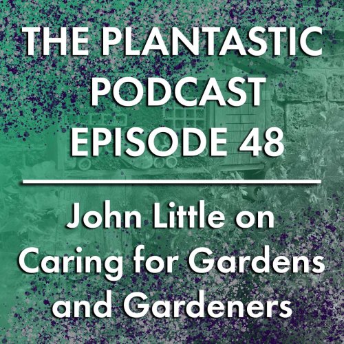 Photo post from plant_props.