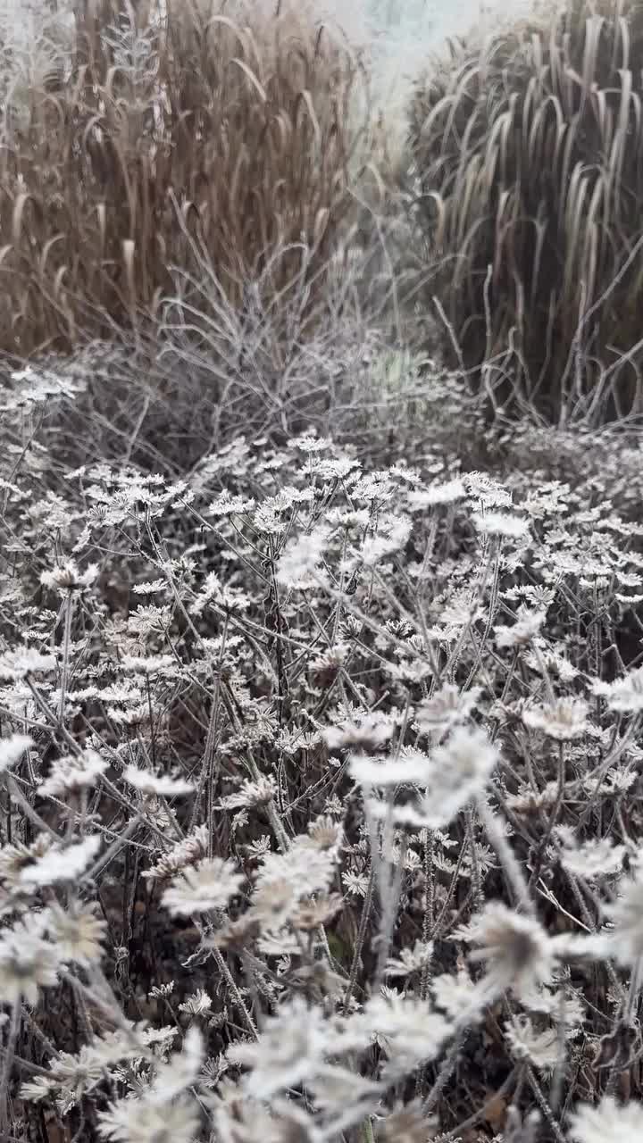 Video post from sussexprairies.
