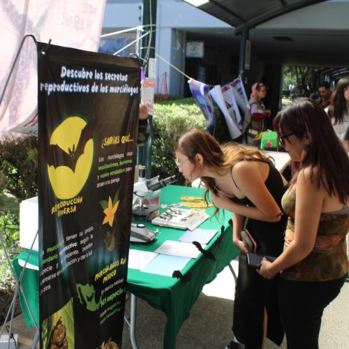 Carousel post from murci_uami.