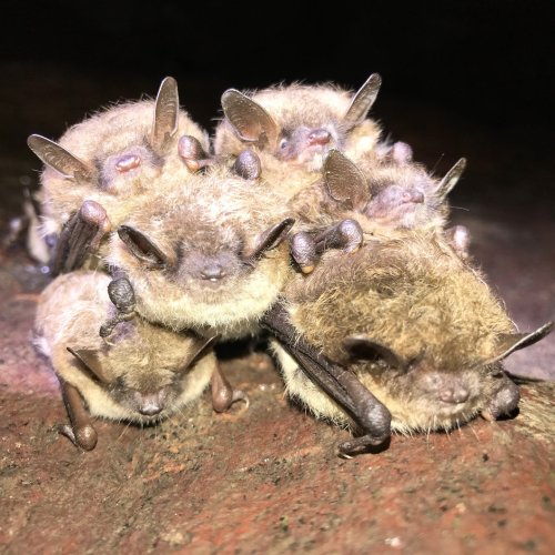 Photo post from nfwf.