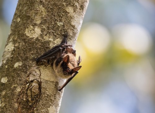 Photo post from cwf_fcf.