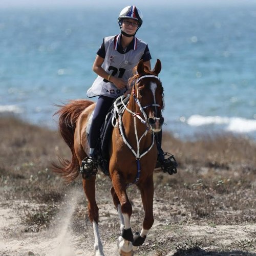 Photo post from fei_global.