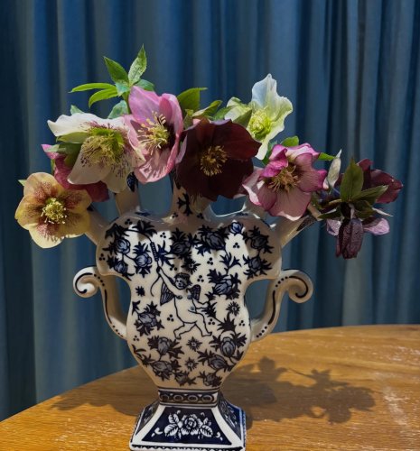 Photo post from gardenhousebrighton.