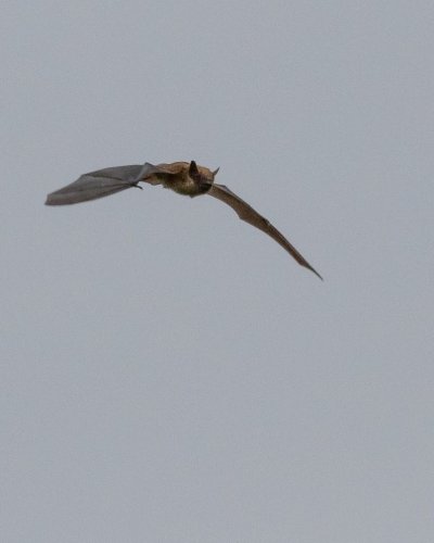 Photo post from swibirds.