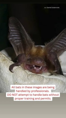 Video post from santaclaracountyparks.