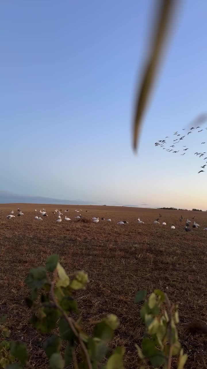 Video post from northernskiesoutfitters.