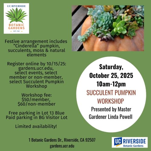 Photo post from ucrbotanicgardens.