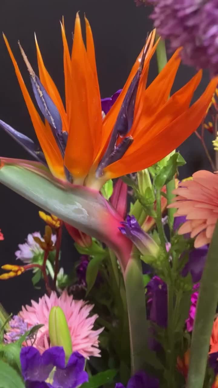 Video post from dellemannbloemen.
