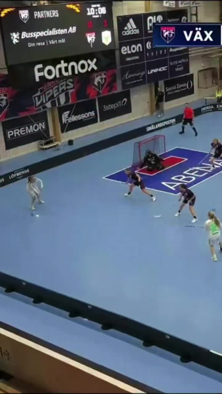 Video post from kauppitwins.