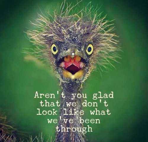 Photo post from withswatiprakash.