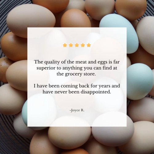 Photo post from hungryhollowfarm.