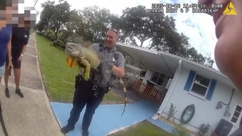 Video post from daytonabeachpolice.