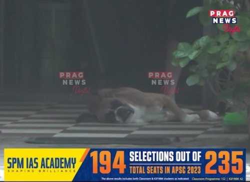 Video post from pragnewsofficial.