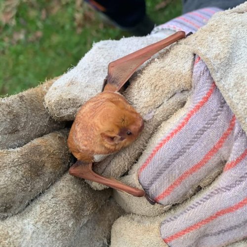 Photo post from powdermillnaturereserve1956.