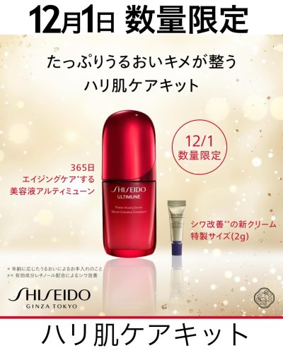 SHISEIDO エッセンス スキンセッティング パウダー 通販 - 西武