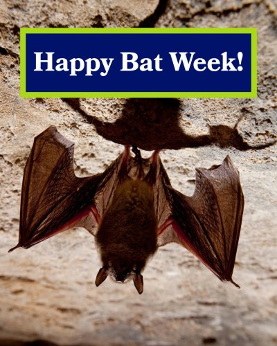 Carousel post from enviroam.