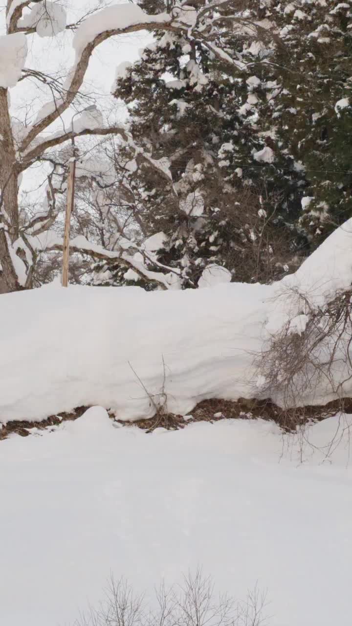 Video post from libtechnologies.