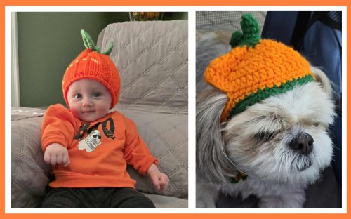 Photo post from niftygiftynorfolk.