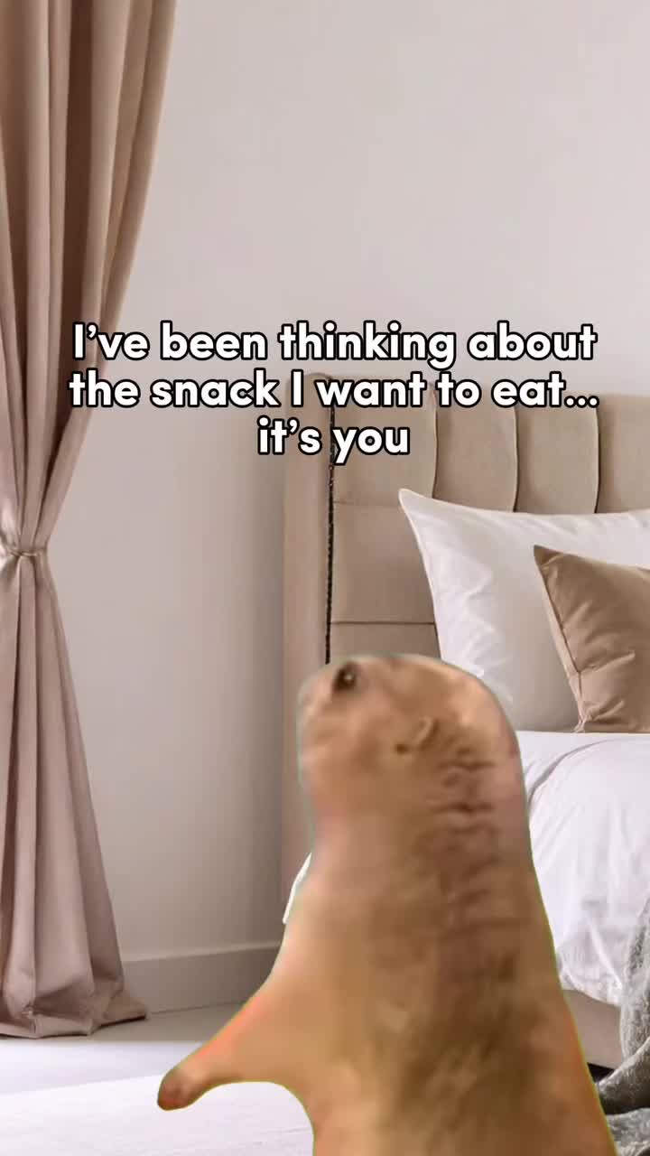 Video post from lovehoneyofficial.