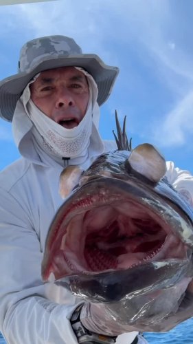 Video post from ejs_fishing_charters.