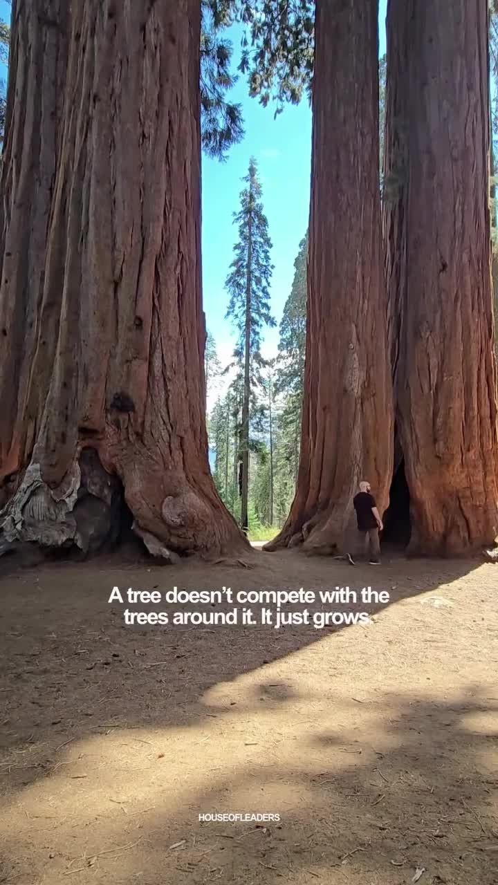 Video post from houseofleaders.co.