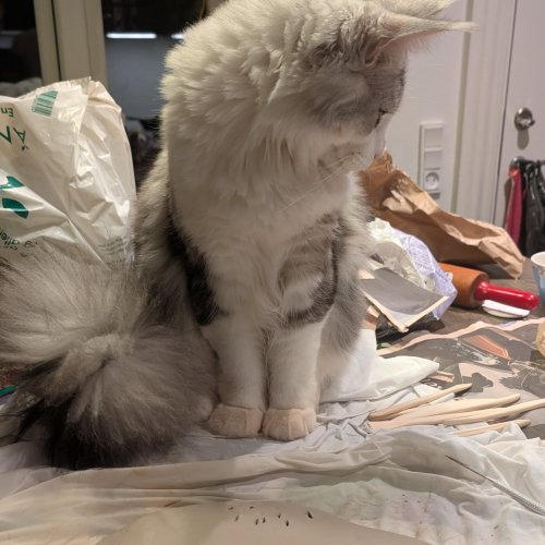 Carousel post from claymakers.royal.