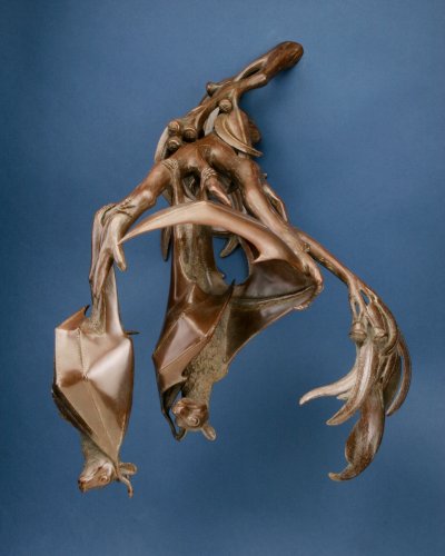 Photo post from wildlifeartjh.