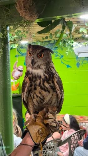 Video post from njexoticpets.