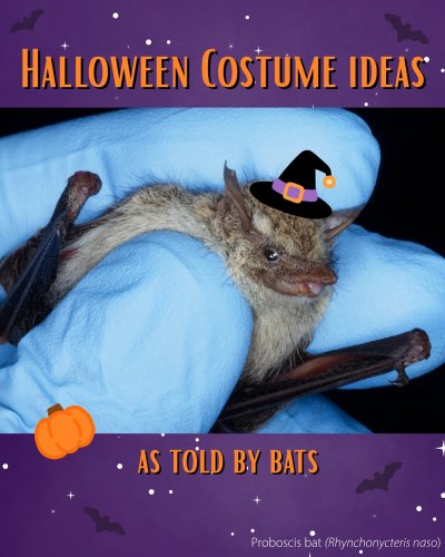 Carousel post from biodiversityresearchinstitute.