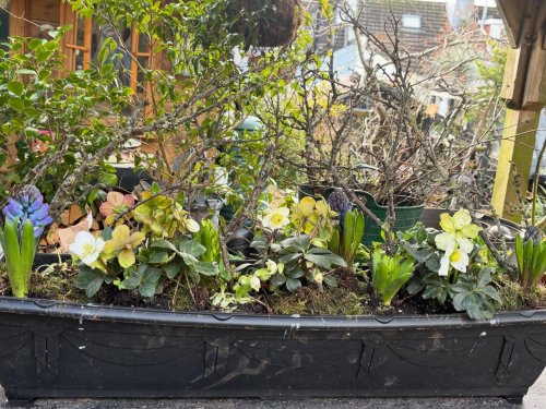 Photo post from gardenhousebrighton.