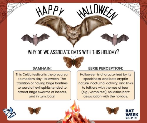 Photo post from merseytobeatic.