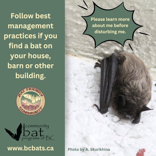 Photo post from rdosinfo.