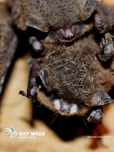 Photo post from boulder_lake_elc.