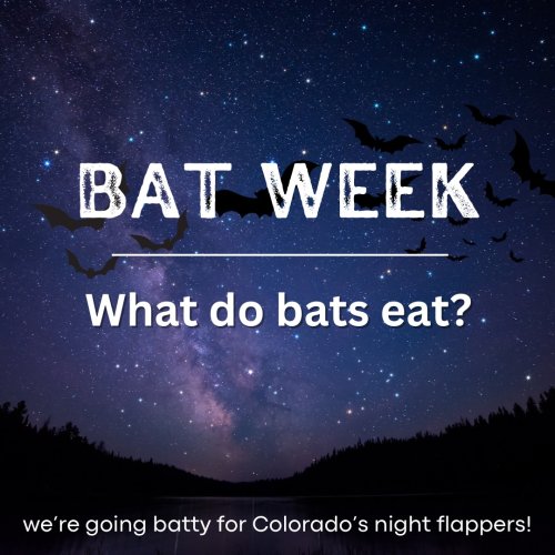 Photo post from jeffcoopenspace.