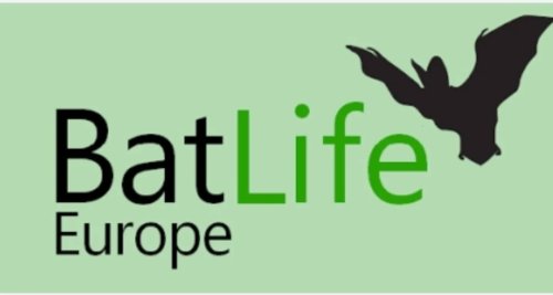 Photo post from batconservationireland.