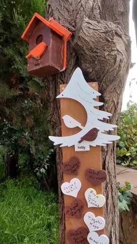 Video post from tobycomtr.