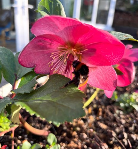 Carousel post from gardenhousebrighton.