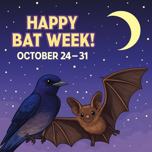 Photo post from pmcila.