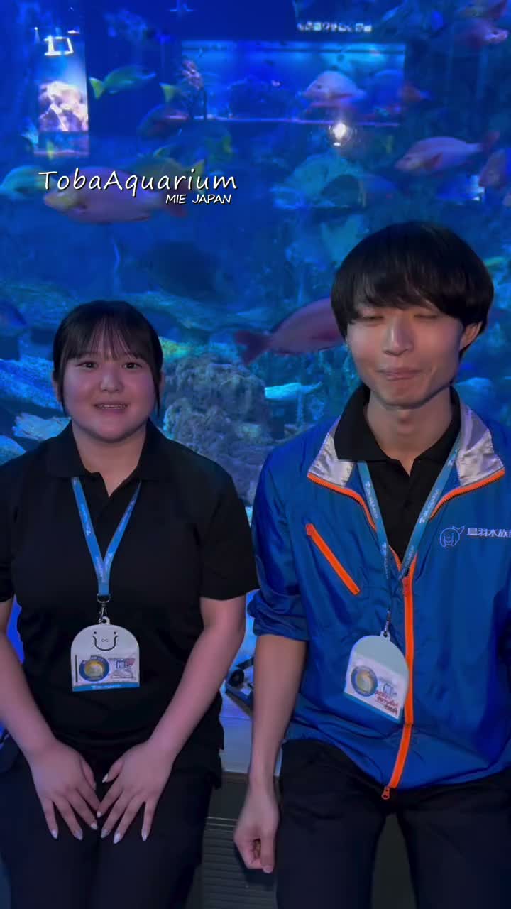 鳥羽水族館 公式サイト