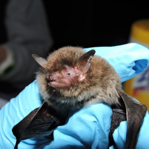 Carousel post from fwcresearch.