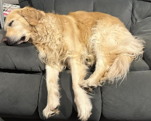 Carousel post from melodicrock.