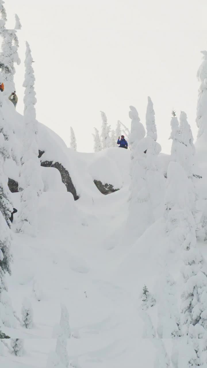 Video post from libtechnologies.