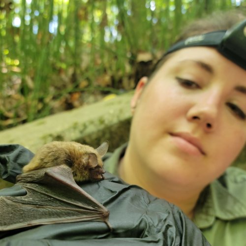 Carousel post from mssciencemuseum.