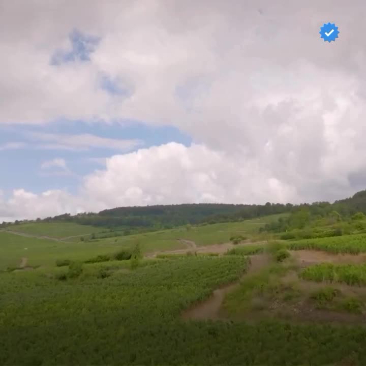 Video post from clubdvin.