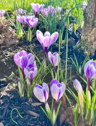 Carousel post from clayrescountrygarden.