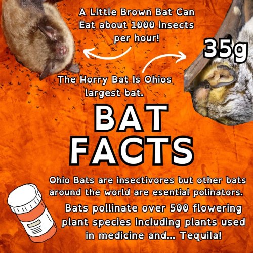 Carousel post from jessicathenaturalist.